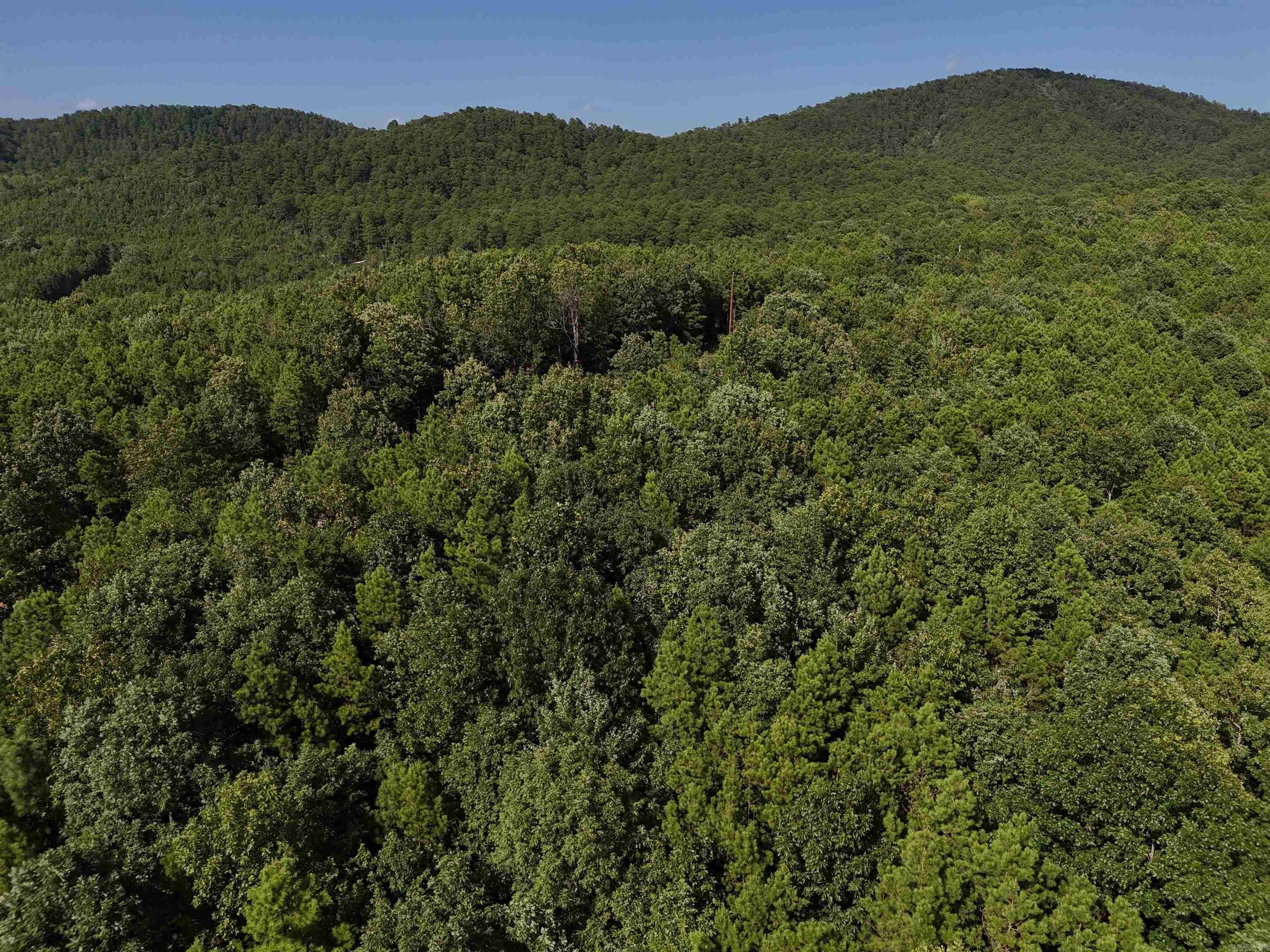 Property Photo:  Lot 6 Polk Road 78  AR 71953 