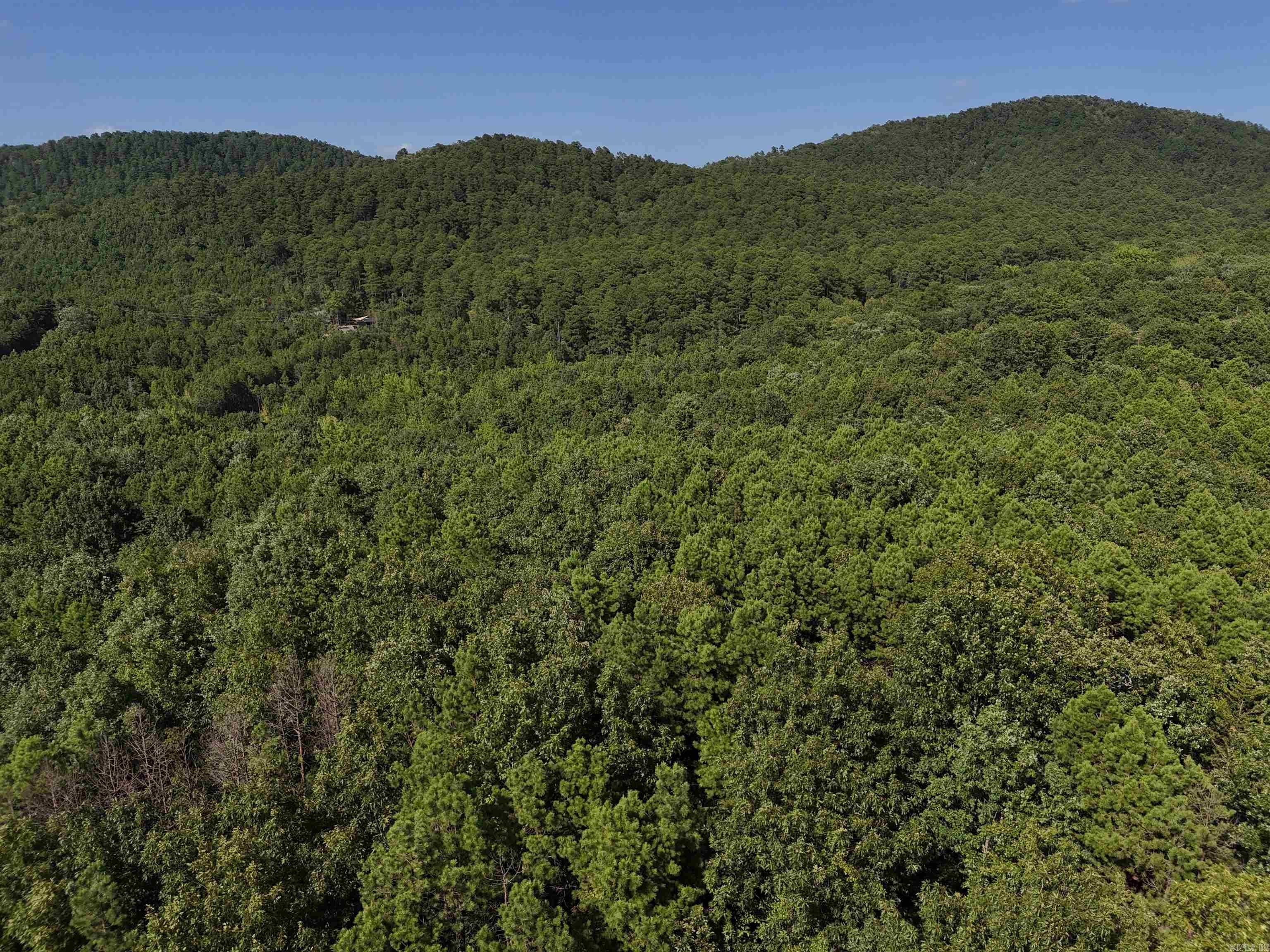 Property Photo:  Lot 11 Polk Road 78  AR 71953 