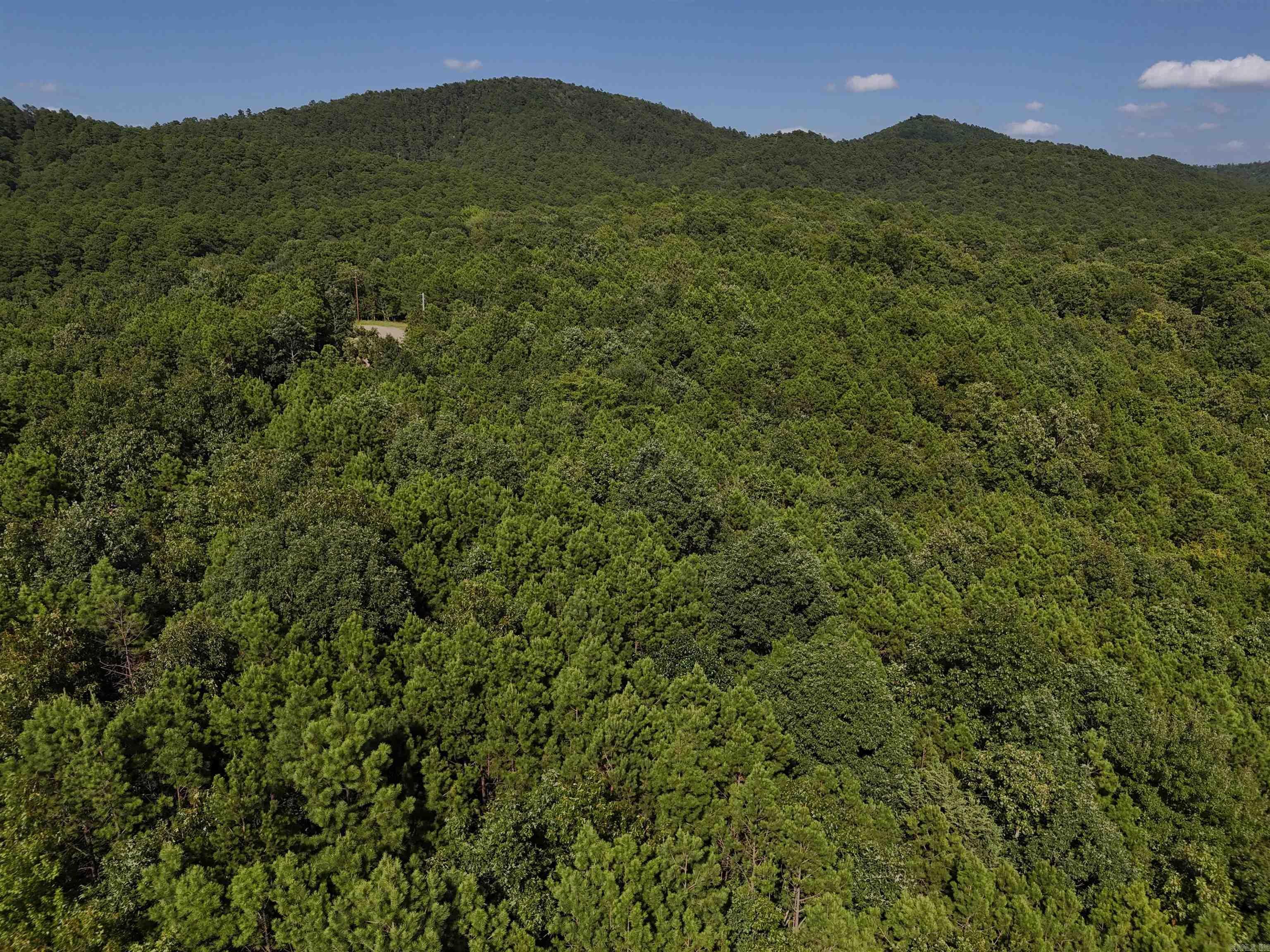 Property Photo:  Lot 7 Polk Road 78  AR 71953 