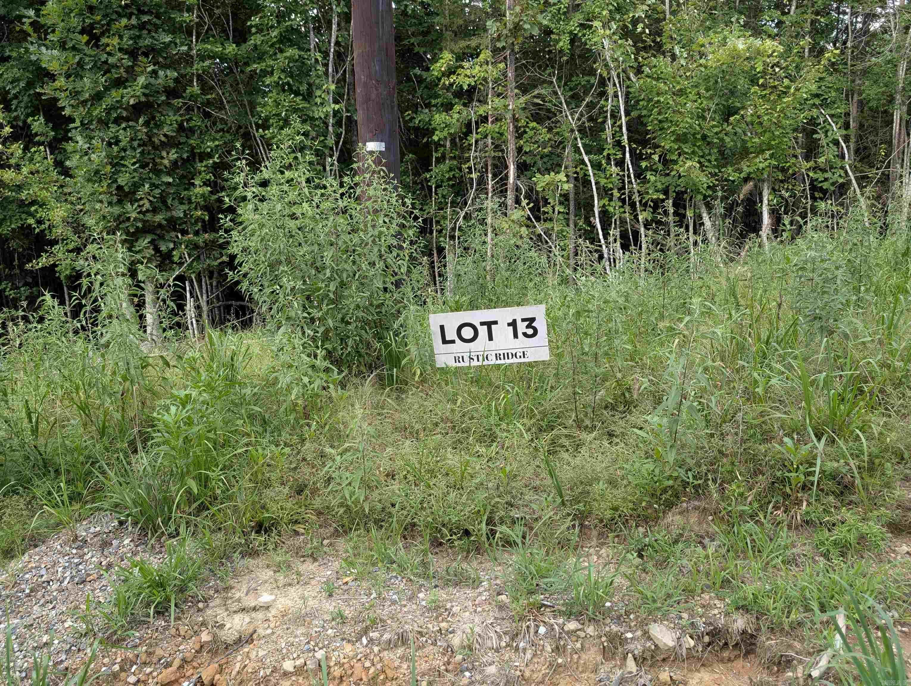 Property Photo:  Lot 13 Polk Road 78  AR 71953 