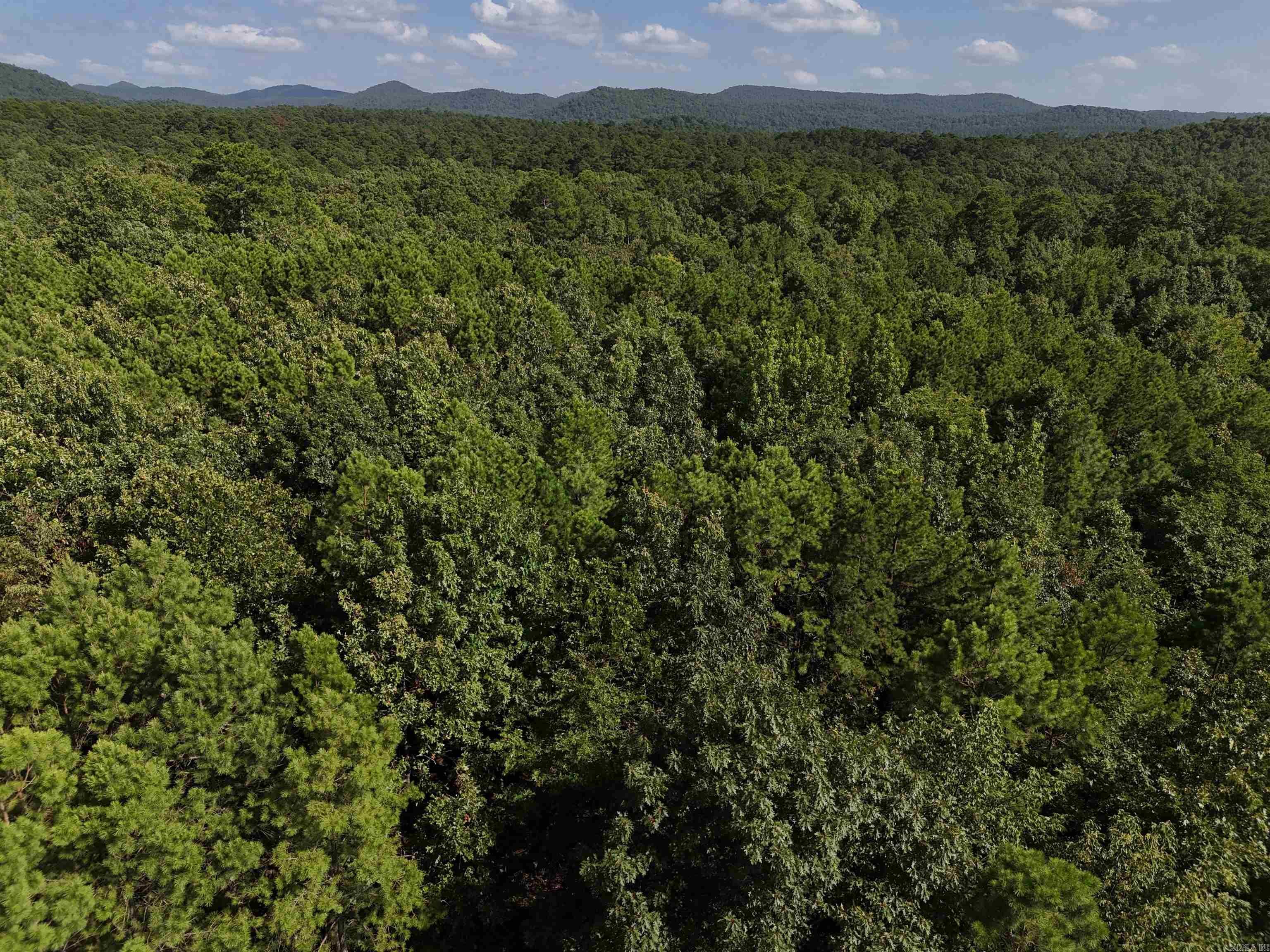 Property Photo:  Lot 8 Polk Road 78  AR 71953 