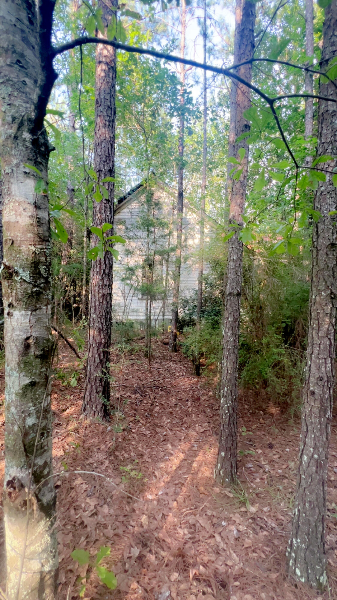 Property Photo: 72 Acres Grimes Road FL 32567