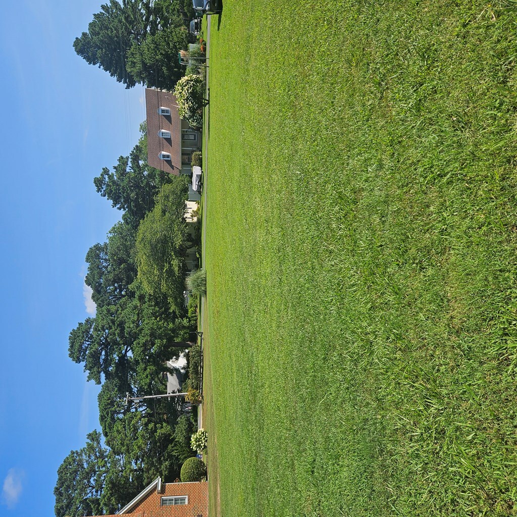 Property Photo: Lot 18 Sturgis St VA 23417
