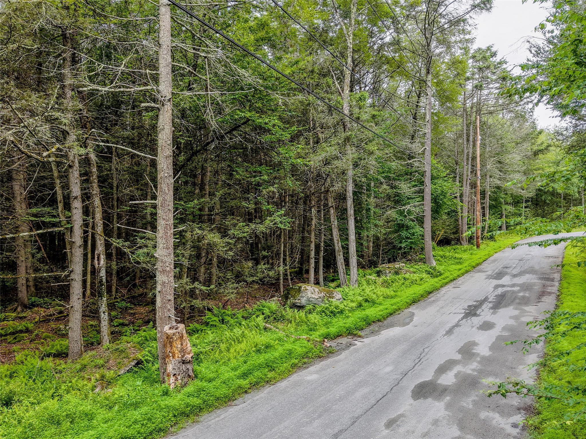 Property Photo: Leins Road NY 12733