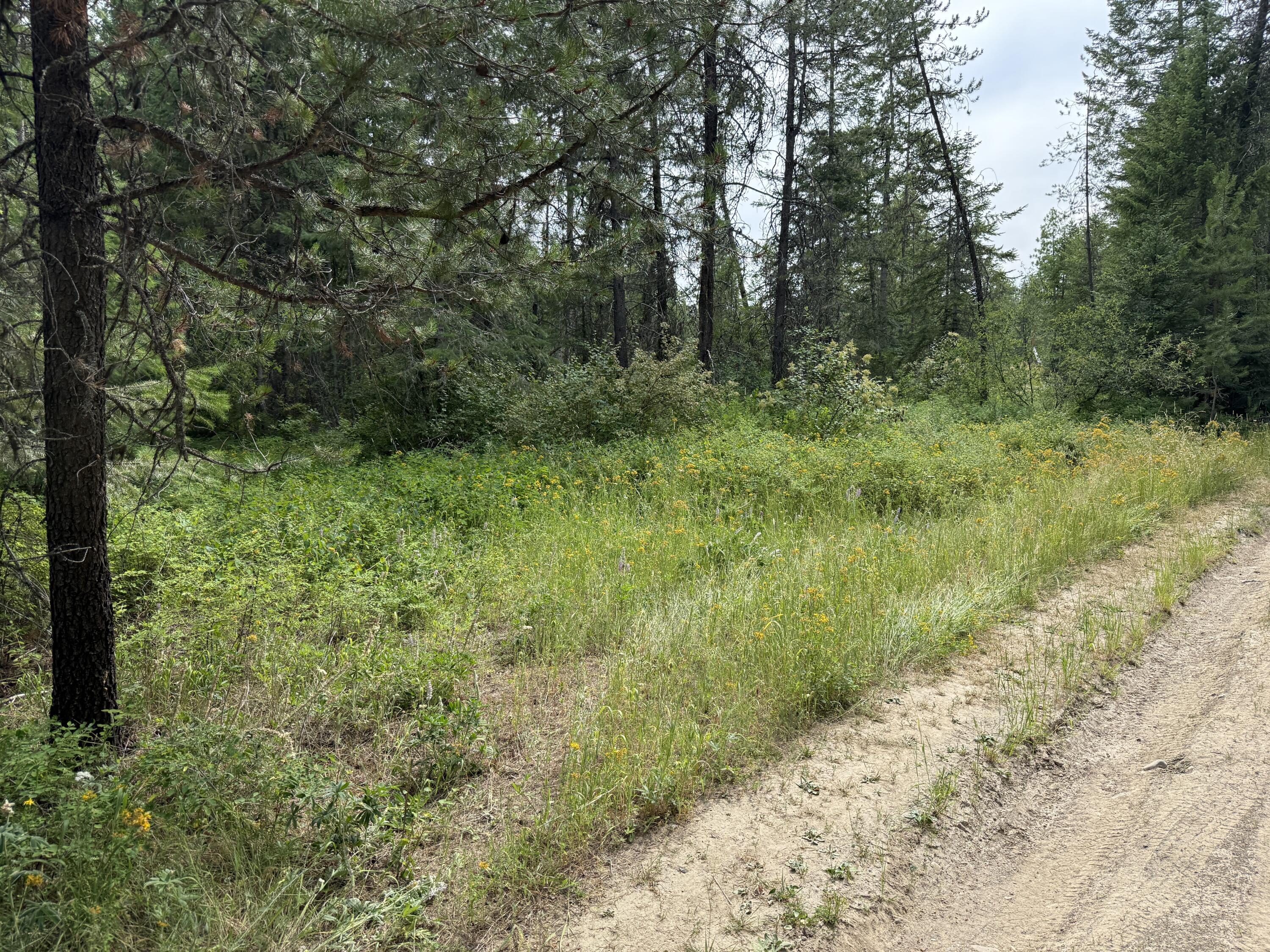 Property Photo: Lot 1 Springdale-Hunters Rd WA 99173
