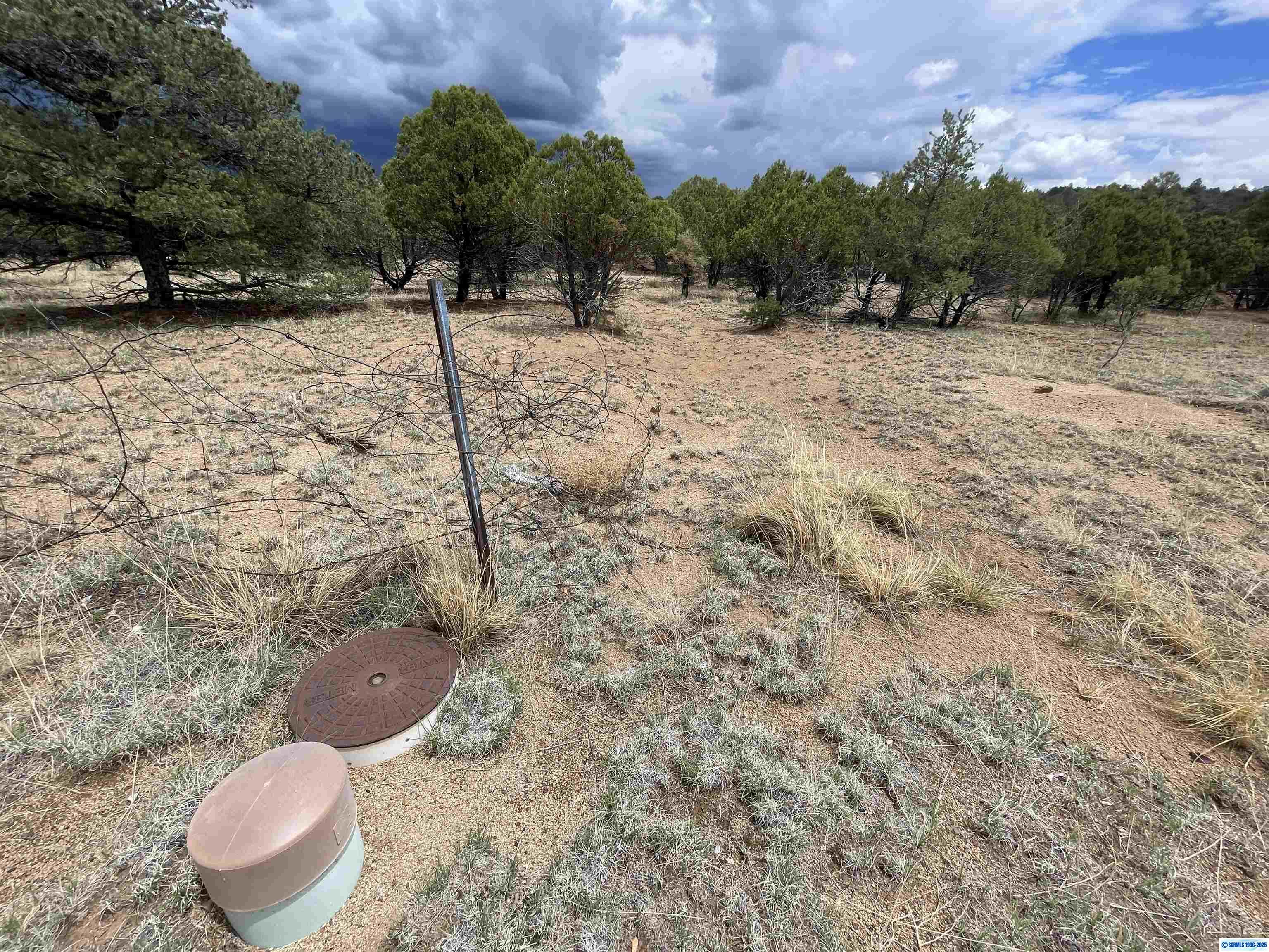 Property Photo: Xx Hwy 15 NM 88053