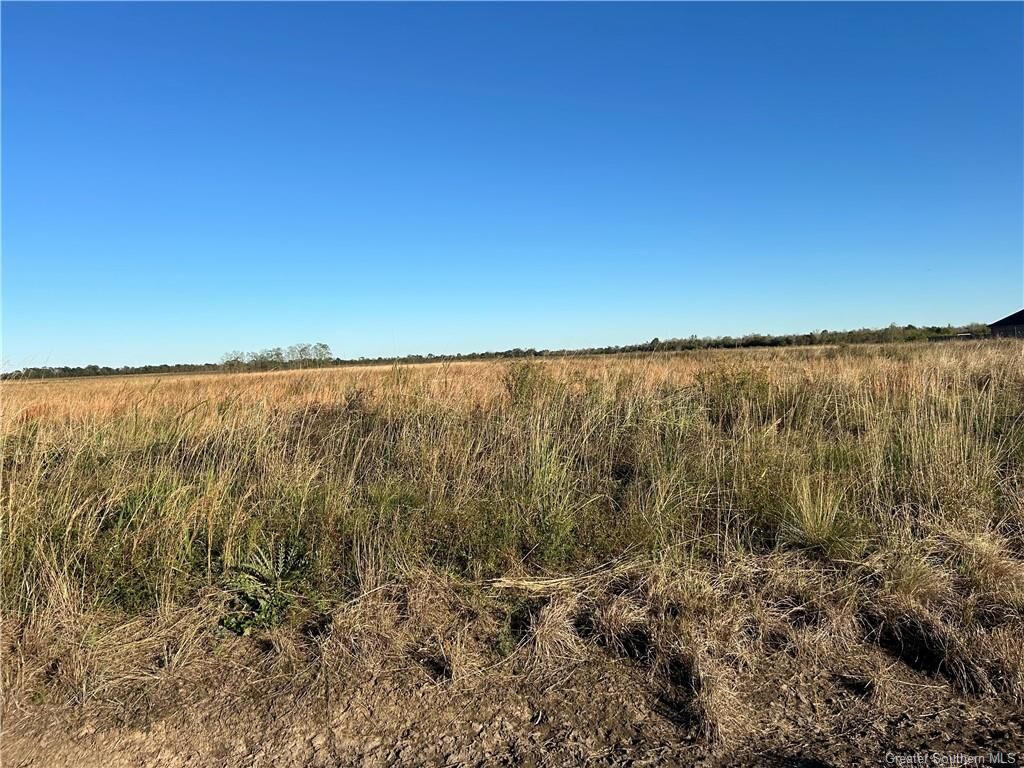 Property Photo:  0 Jeff Davis Ward Line Road  LA 70647 