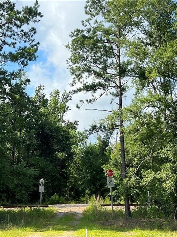 Property Photo:  Hwy 12 Highway  LA 70657 