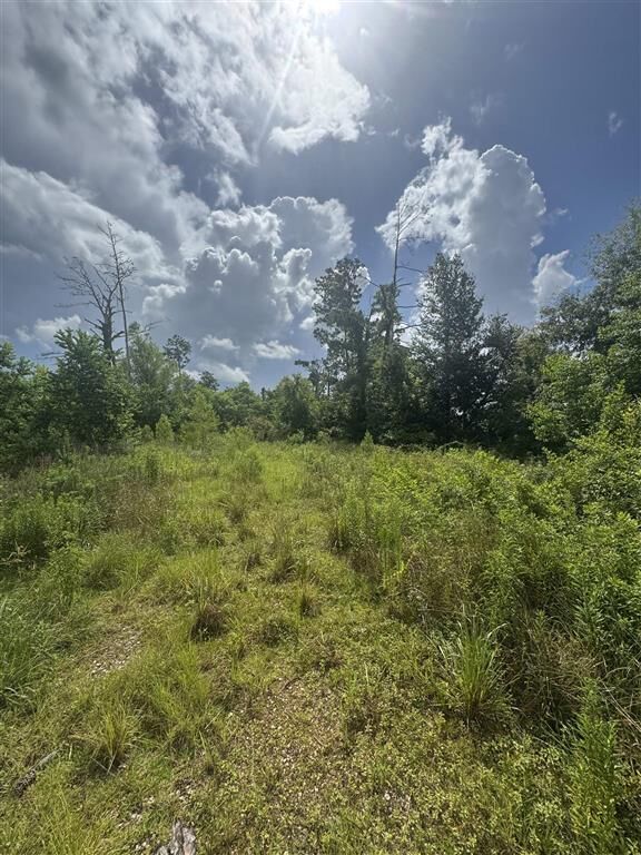 Property Photo:  3740 Dunn Ferry Road  LA 70611 