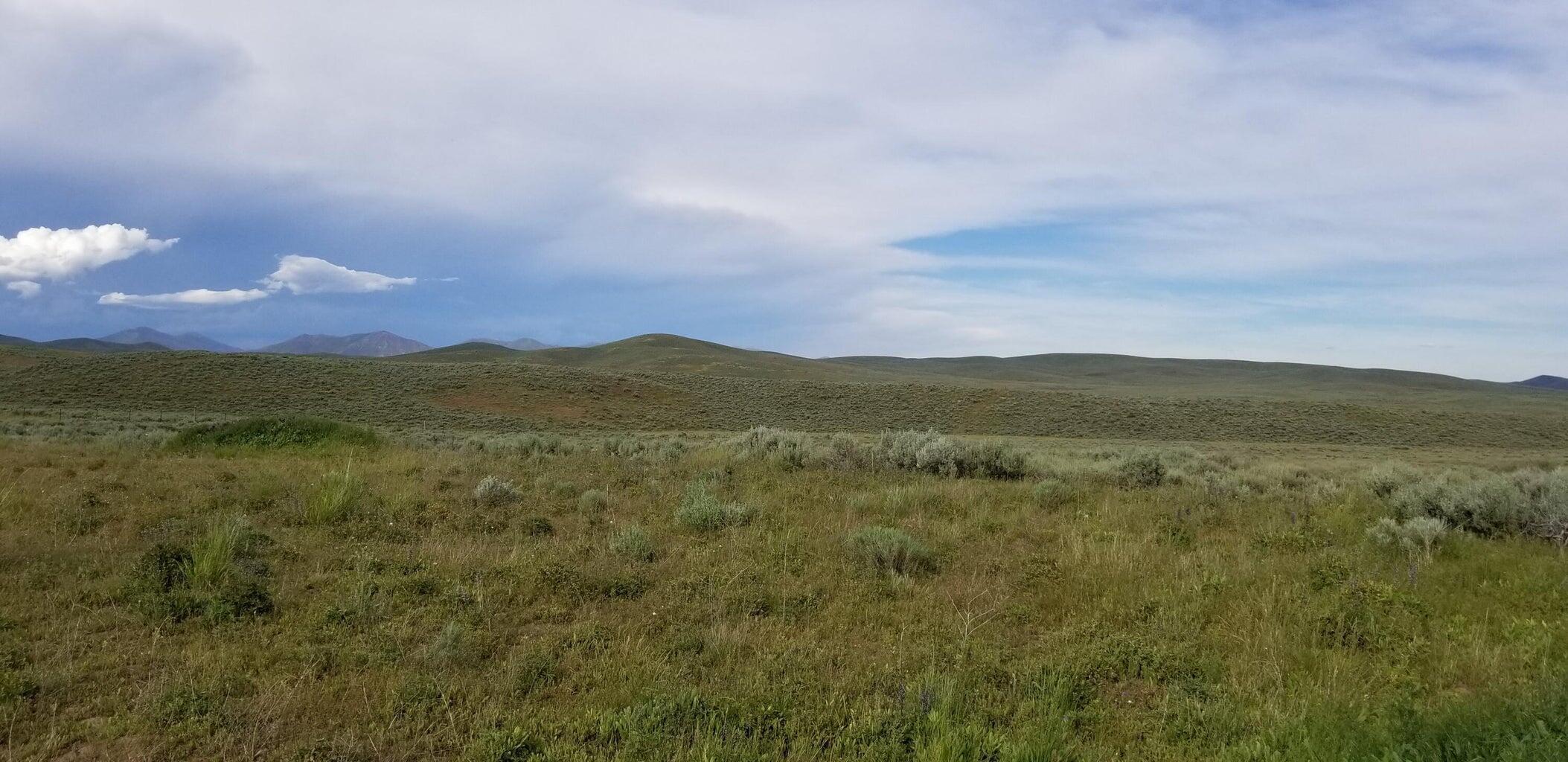 Property Photo:  200 Poison Creek Rd  ID 83333 