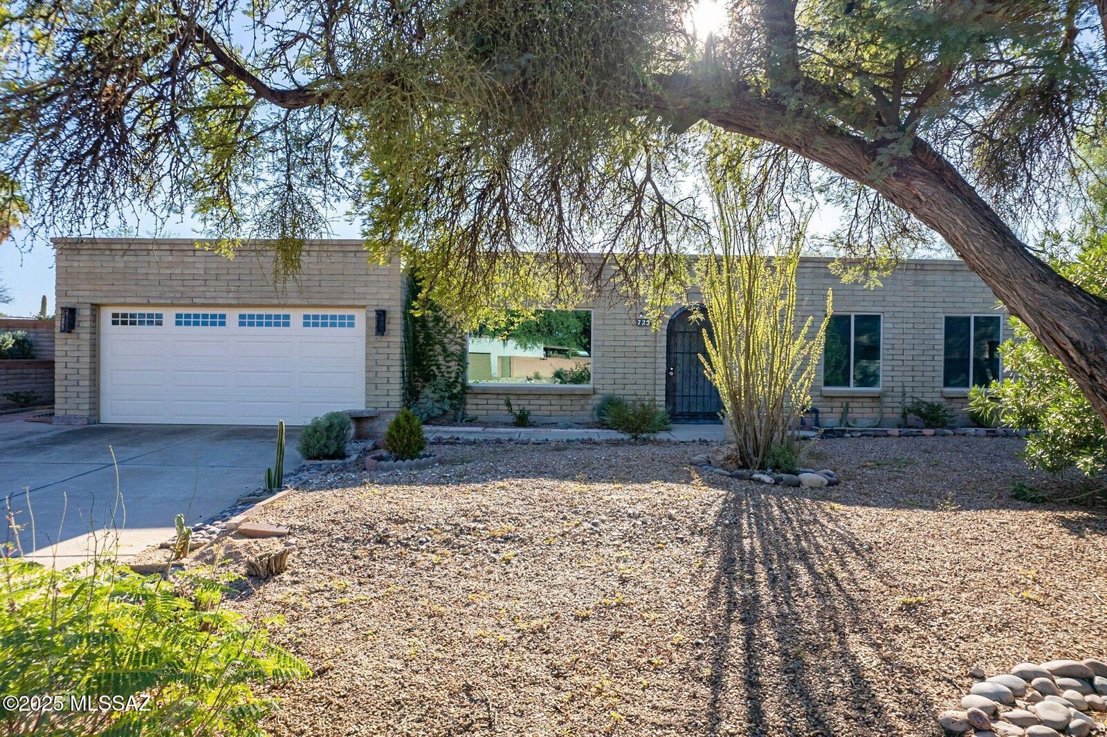 Property Photo:  725 N Bamboo Avenue  AZ 85710 