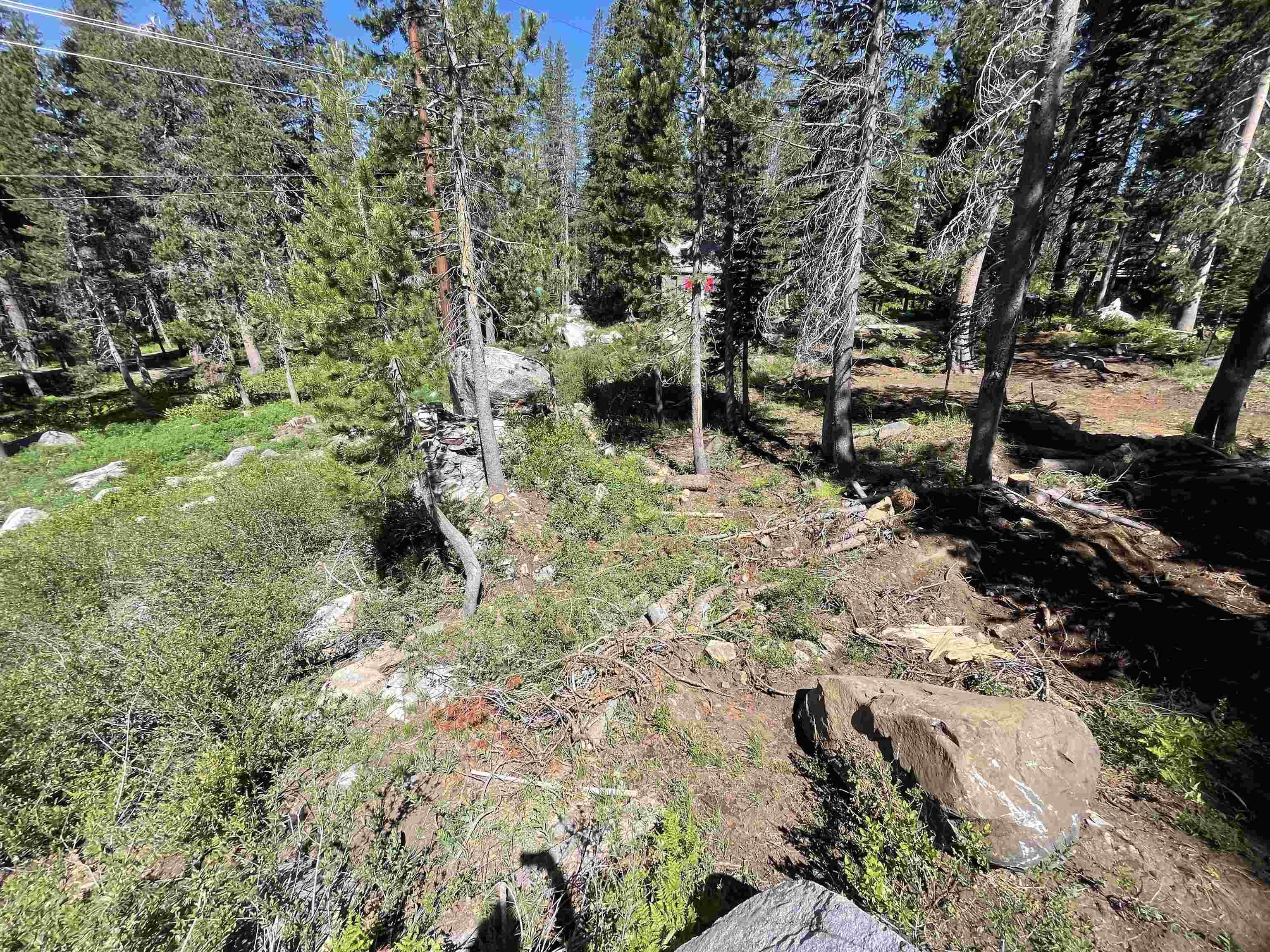 Property Photo: 10053 Hill Road CA 95728