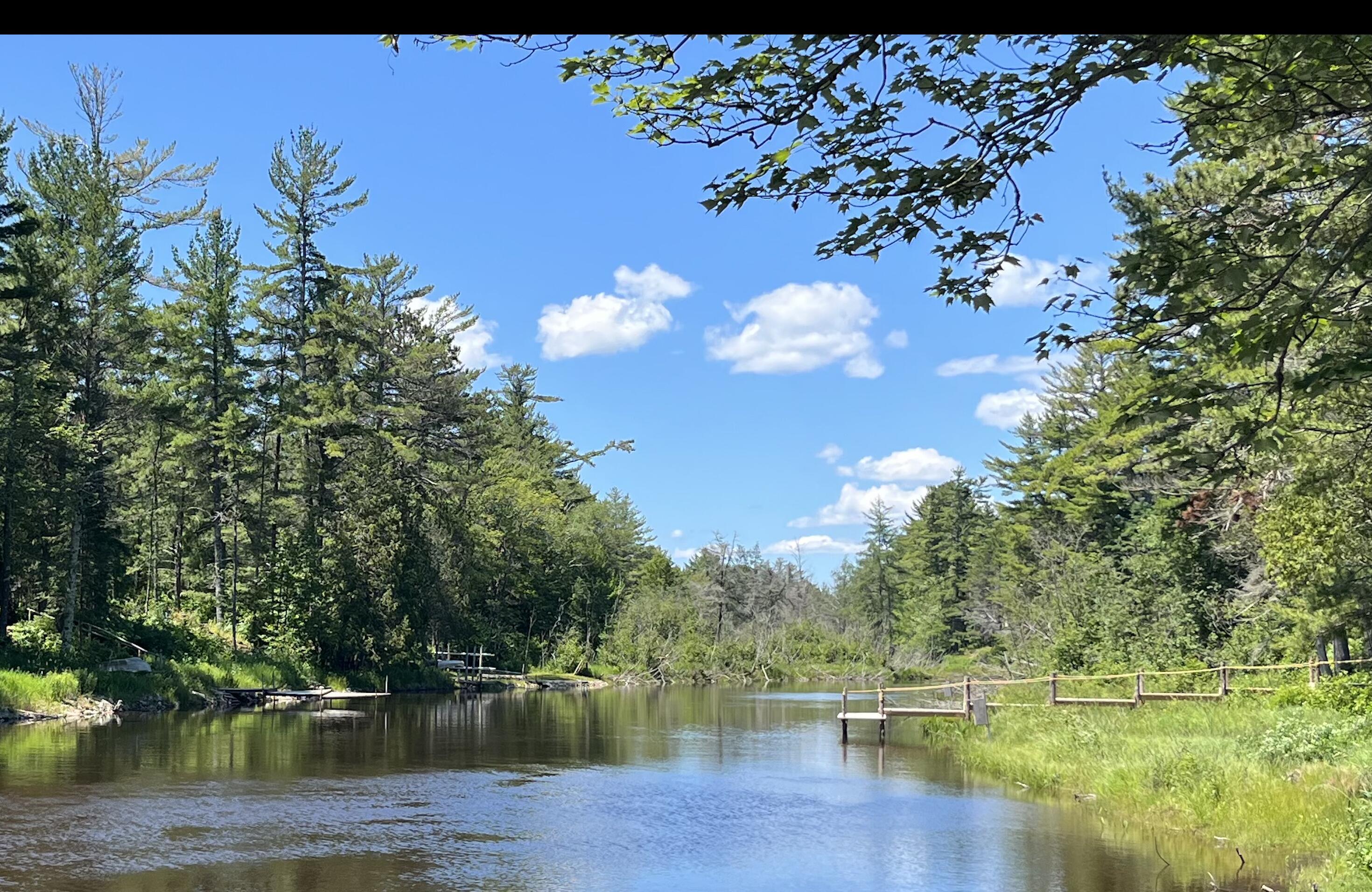 Property Photo: Lot 223 West River Rd MI 49762