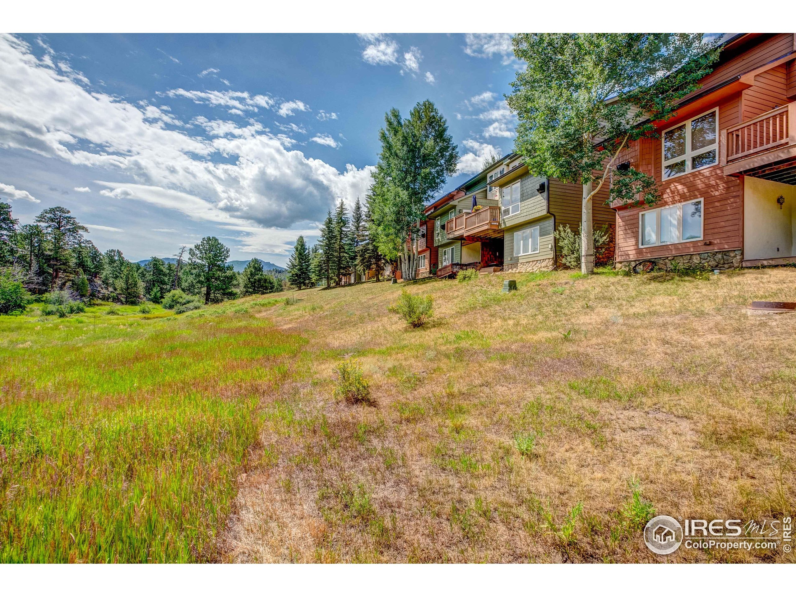 Property Photo:  490 Macgregor Ave  CO 80517 