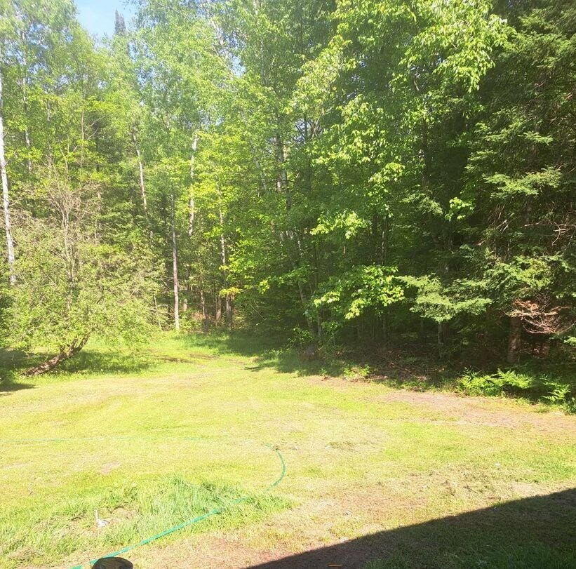 Property Photo:  1119 Esther Road  MI 48705 