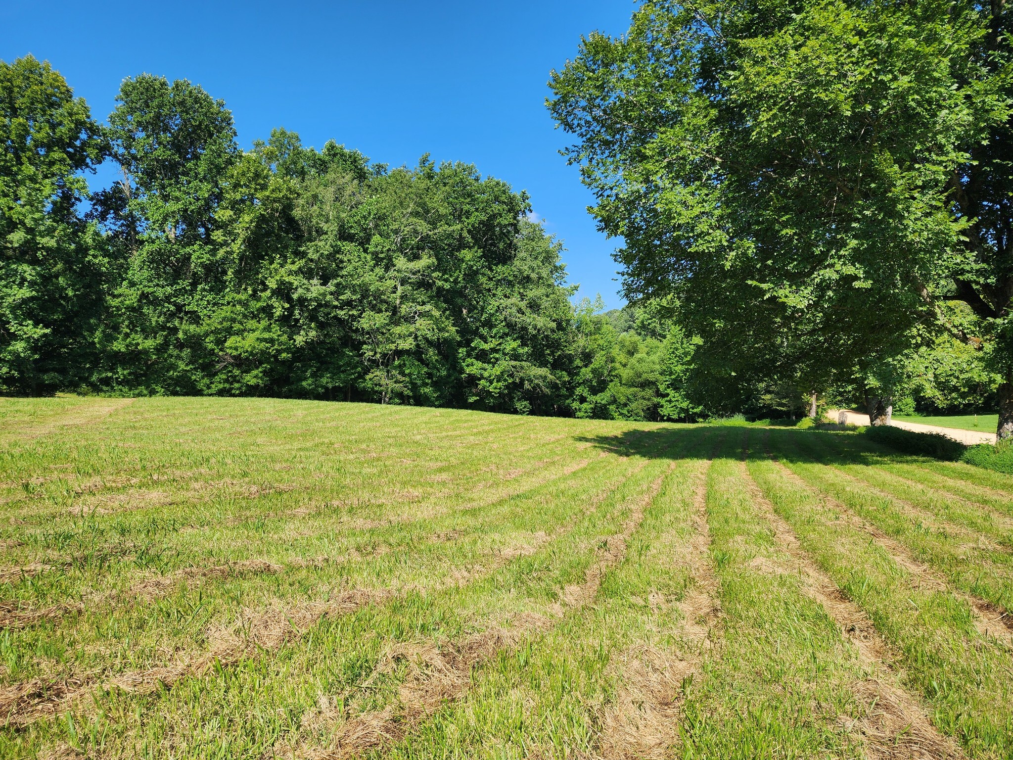 Property Photo: 8220 Suckstem Branch Rd TN 38464