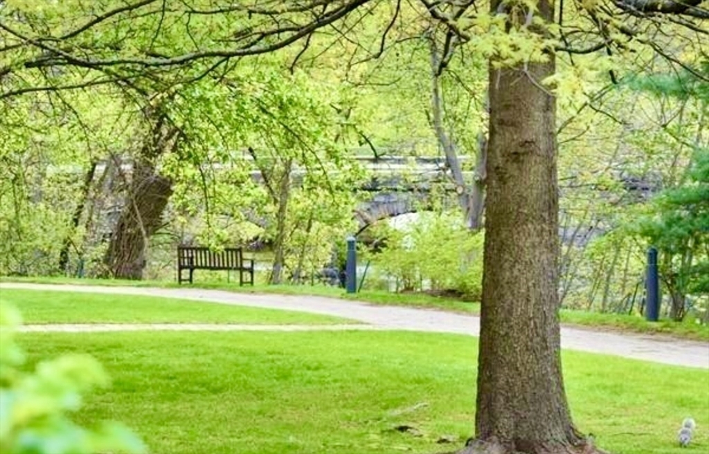 Property Photo: 183 Oak Street 307C MA 02464