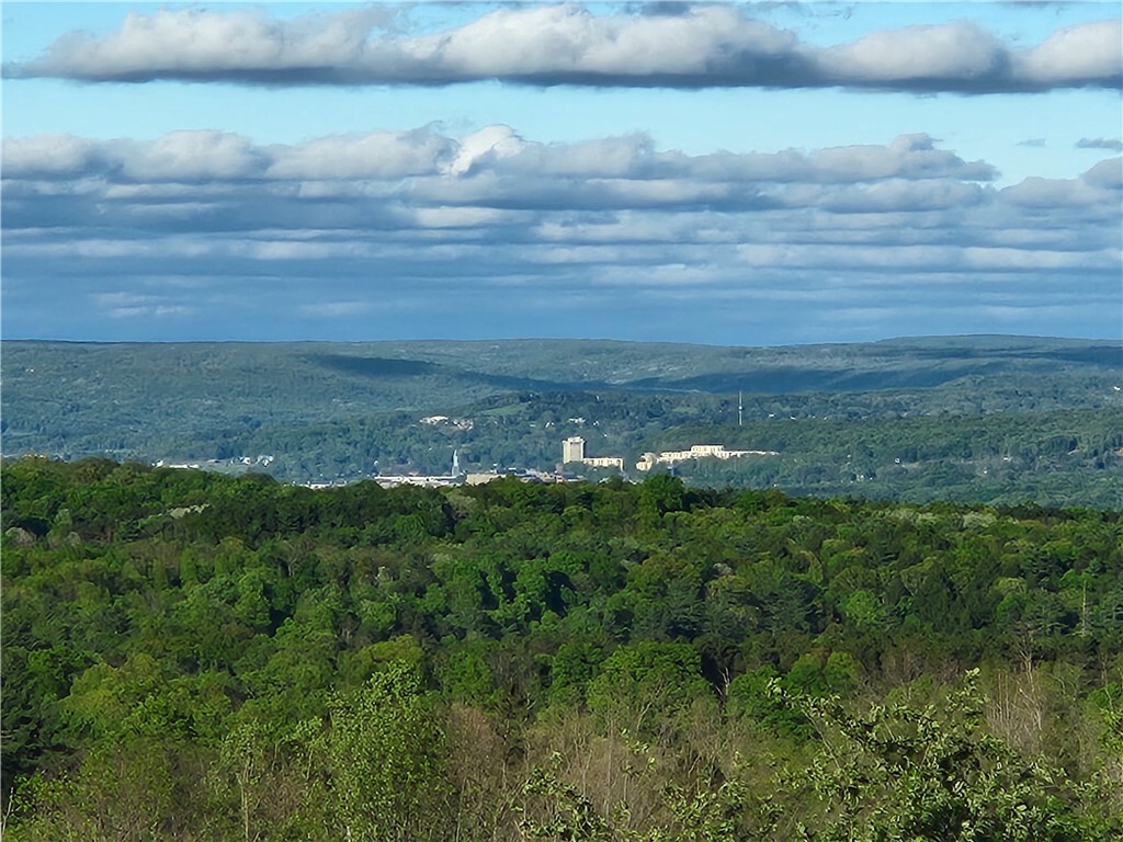 Property Photo: 226 Hines Road NY 14867