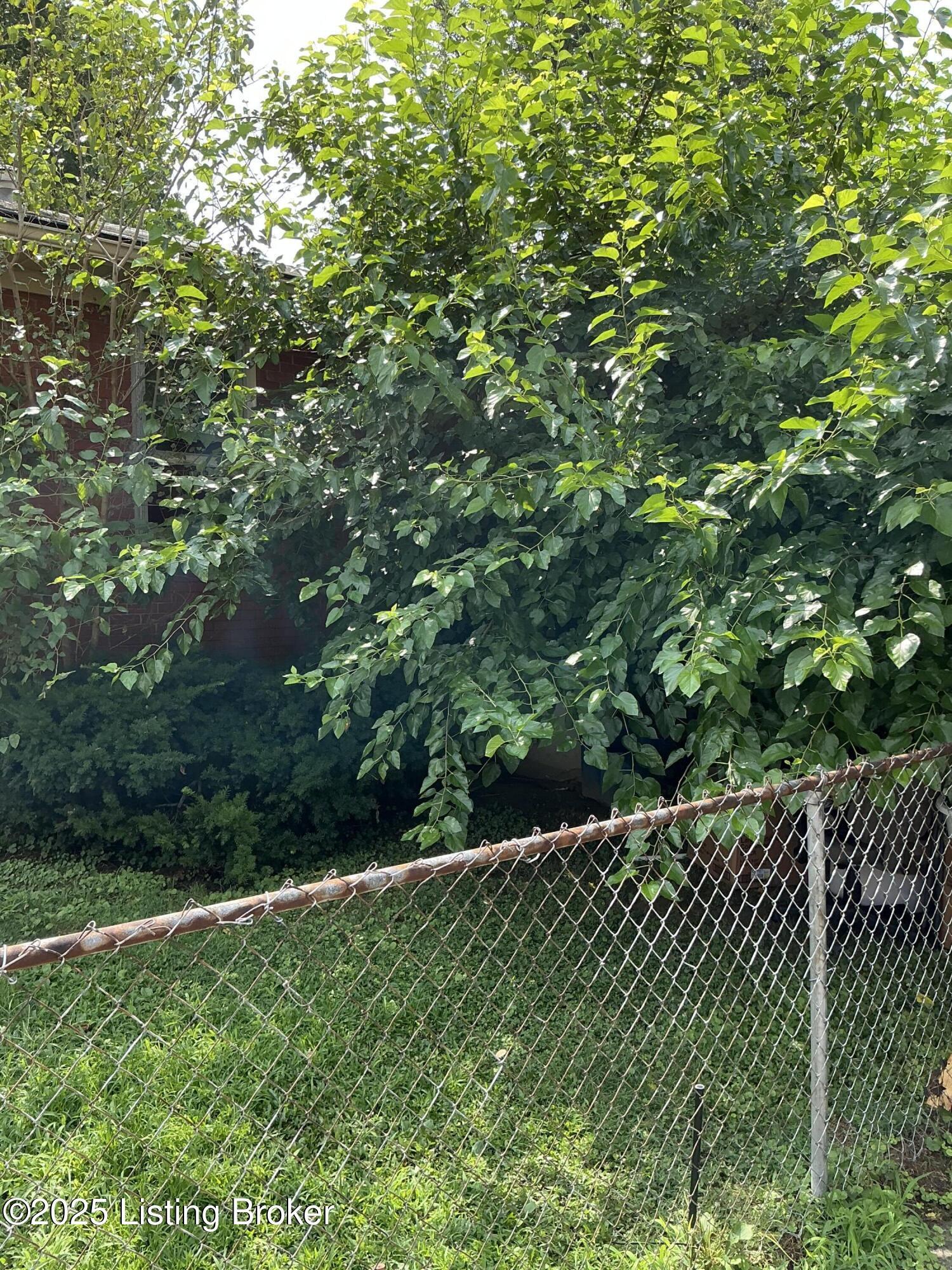 Property Photo:  3665 Wheeler Ave  KY 40215 