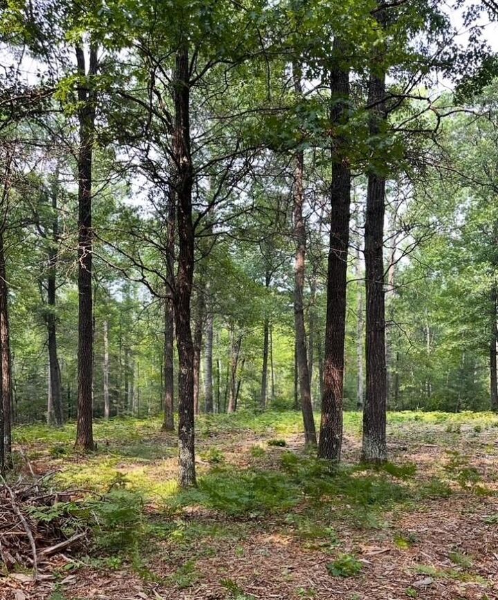 Property Photo:  2.5 Acre Cth Y  WI 54487 