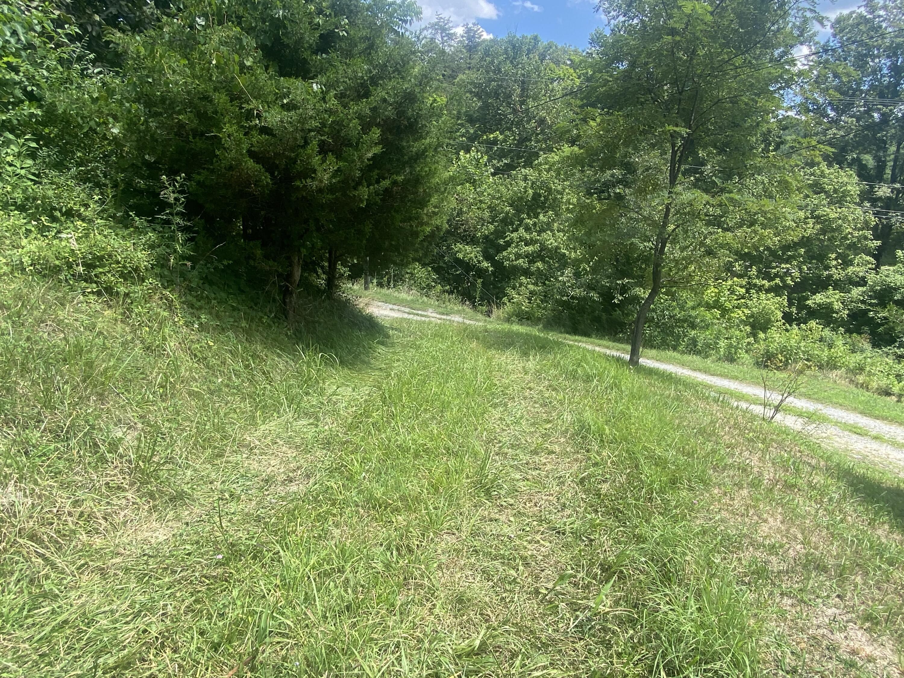 Property Photo:  13345 Wolf Creek Rd  WV 24910 