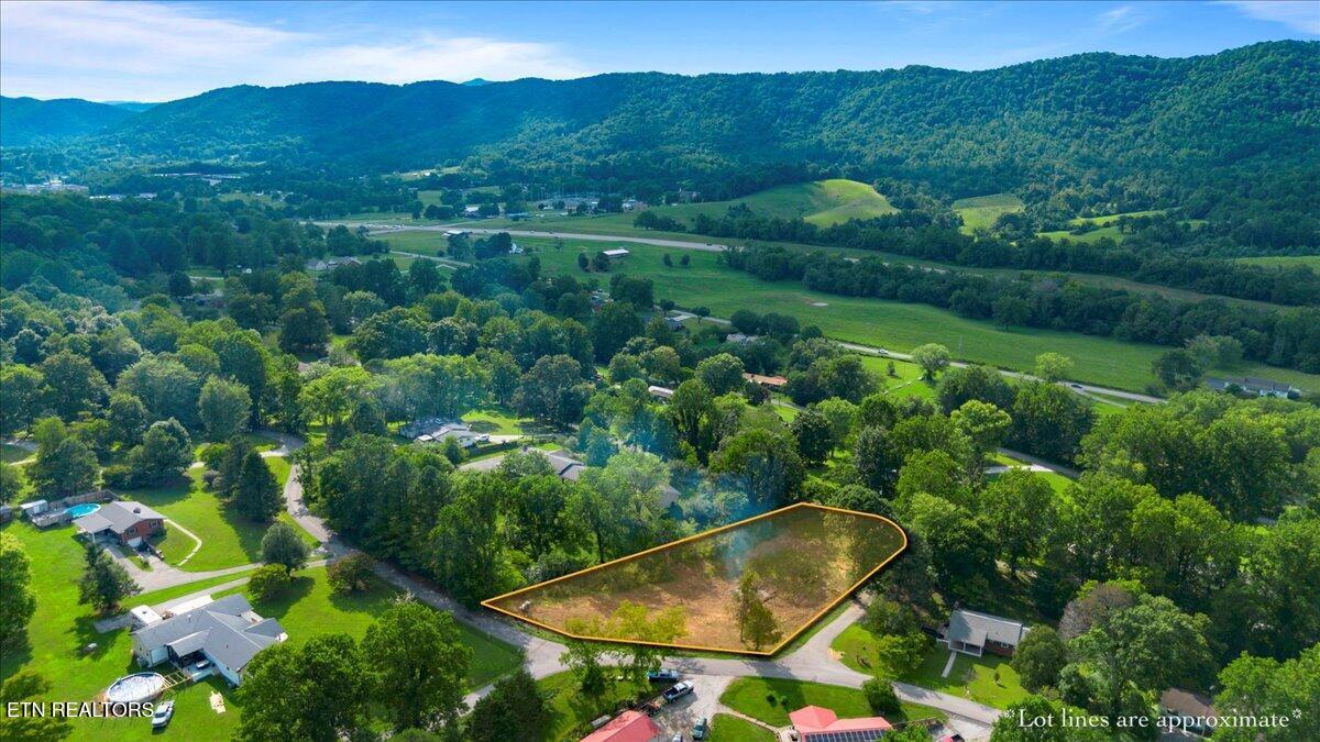 Lilac Drive  Lafollette TN 37766 photo