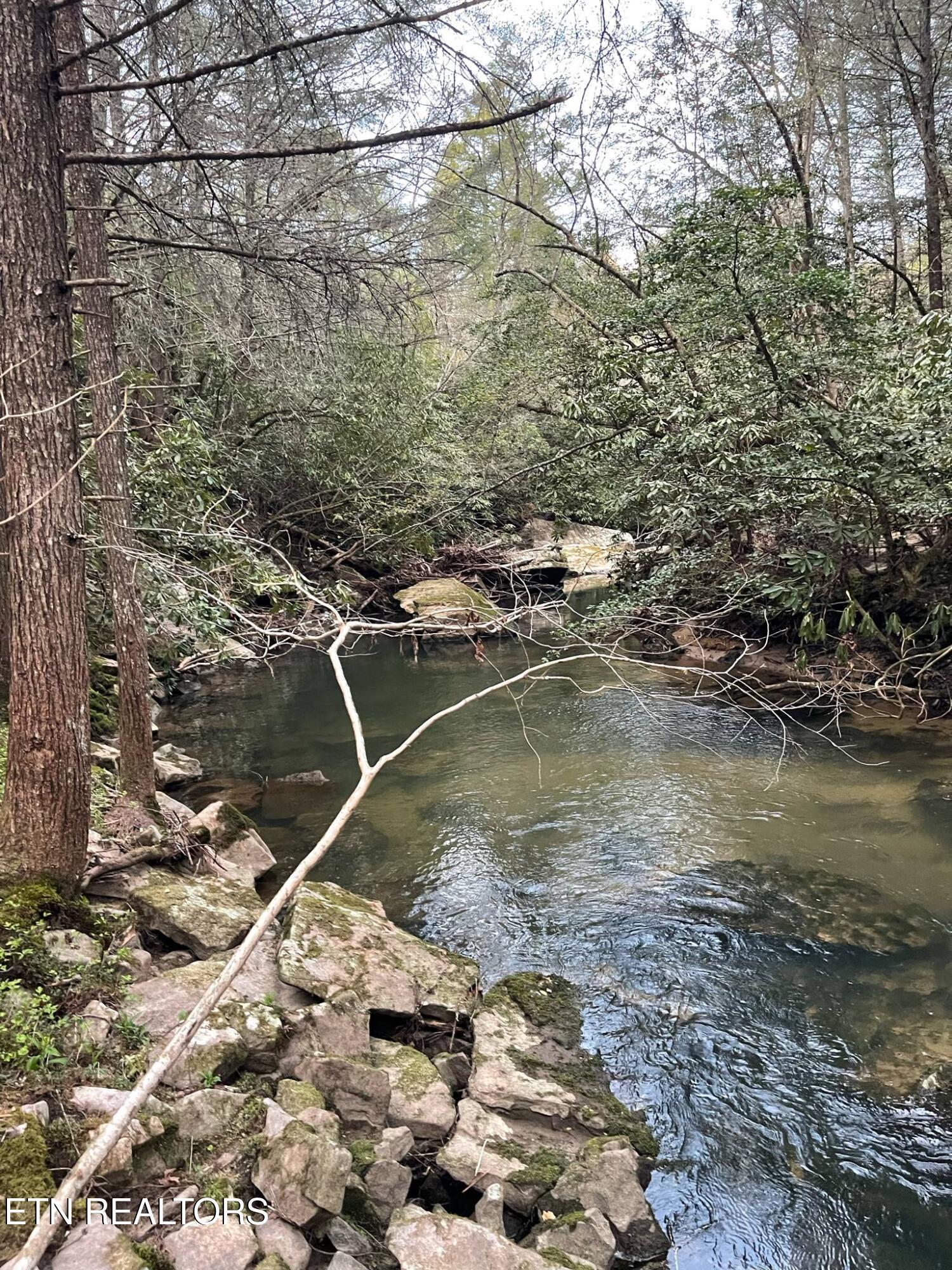 Property Photo: Choctaw Drive TN 38572
