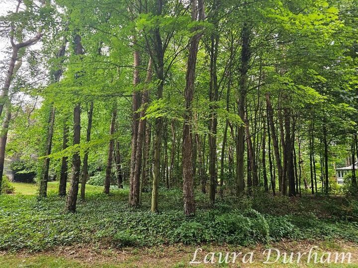 N Of 3365 Clearview Lane  Saugatuck MI 49453 photo