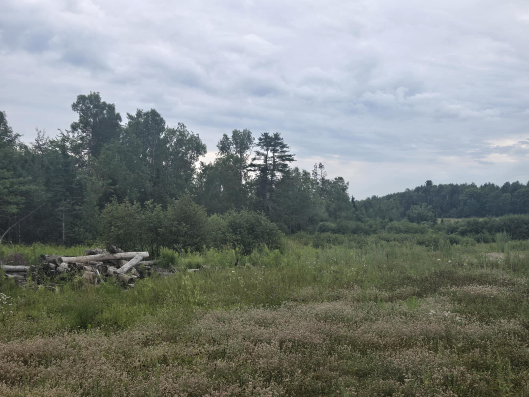 Property Photo: 00 Lambert Rd(Map 4-14 & 4-14-01) ME 04412