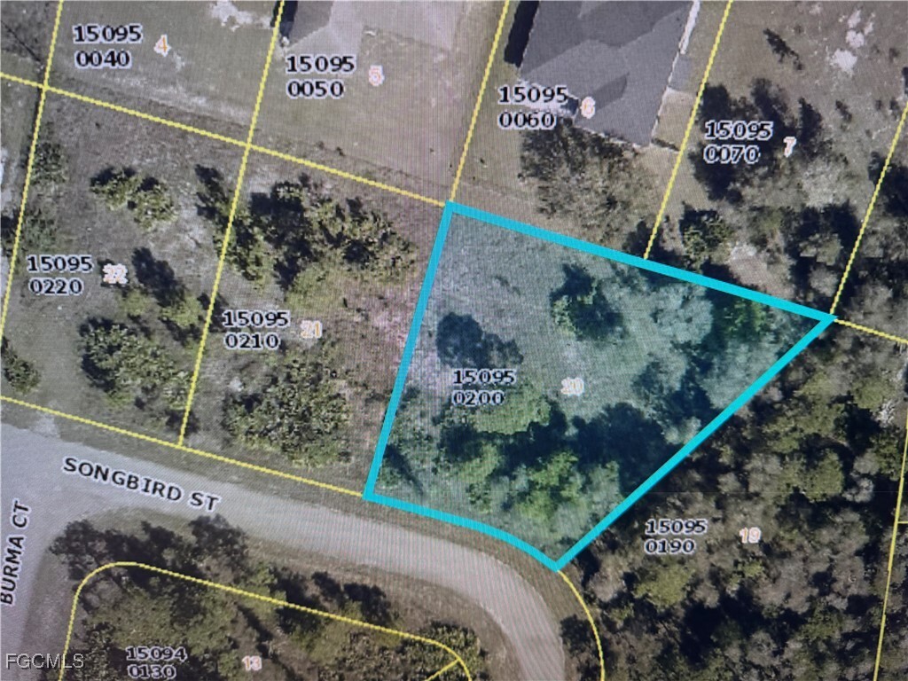 Property Photo: 1263 Songbird Street FL 33913