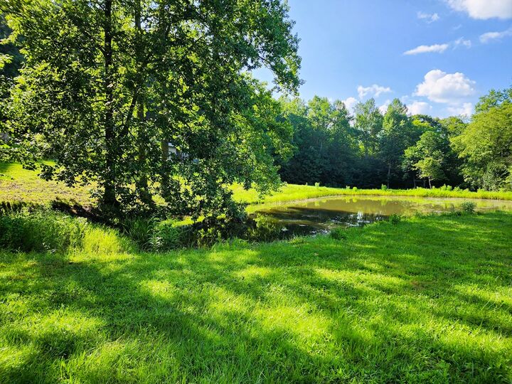 Property Photo: 00 Eagle Fork Road NC 28904