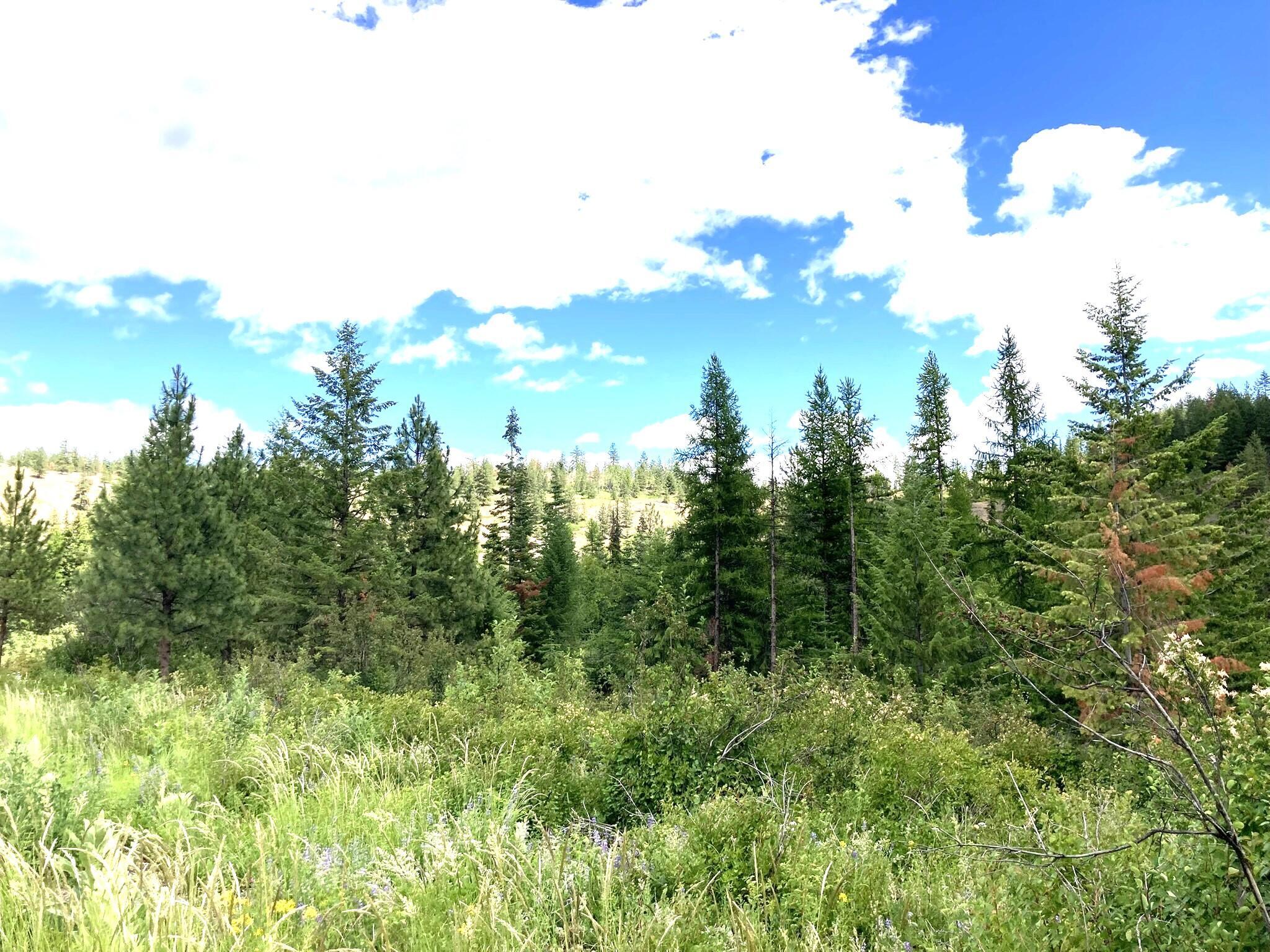 Property Photo: #U Buffy Ln WA 99138