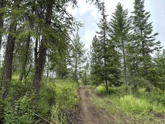 Property Photo: 4xx #U Buffy Ln WA 99138