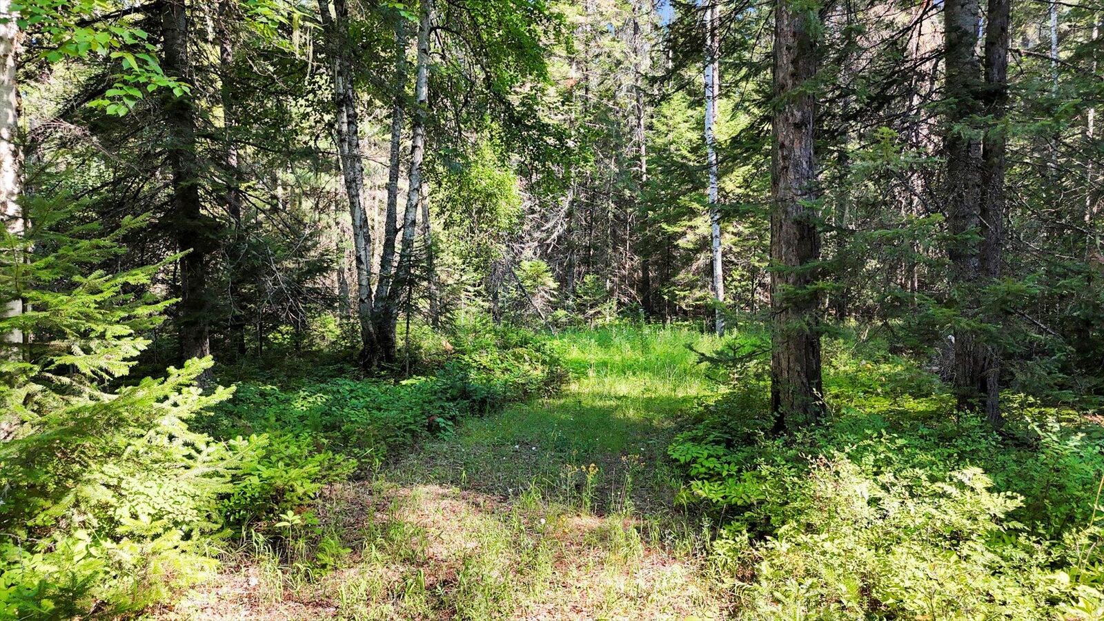 Property Photo: 238 Rustic Rd WA 99119