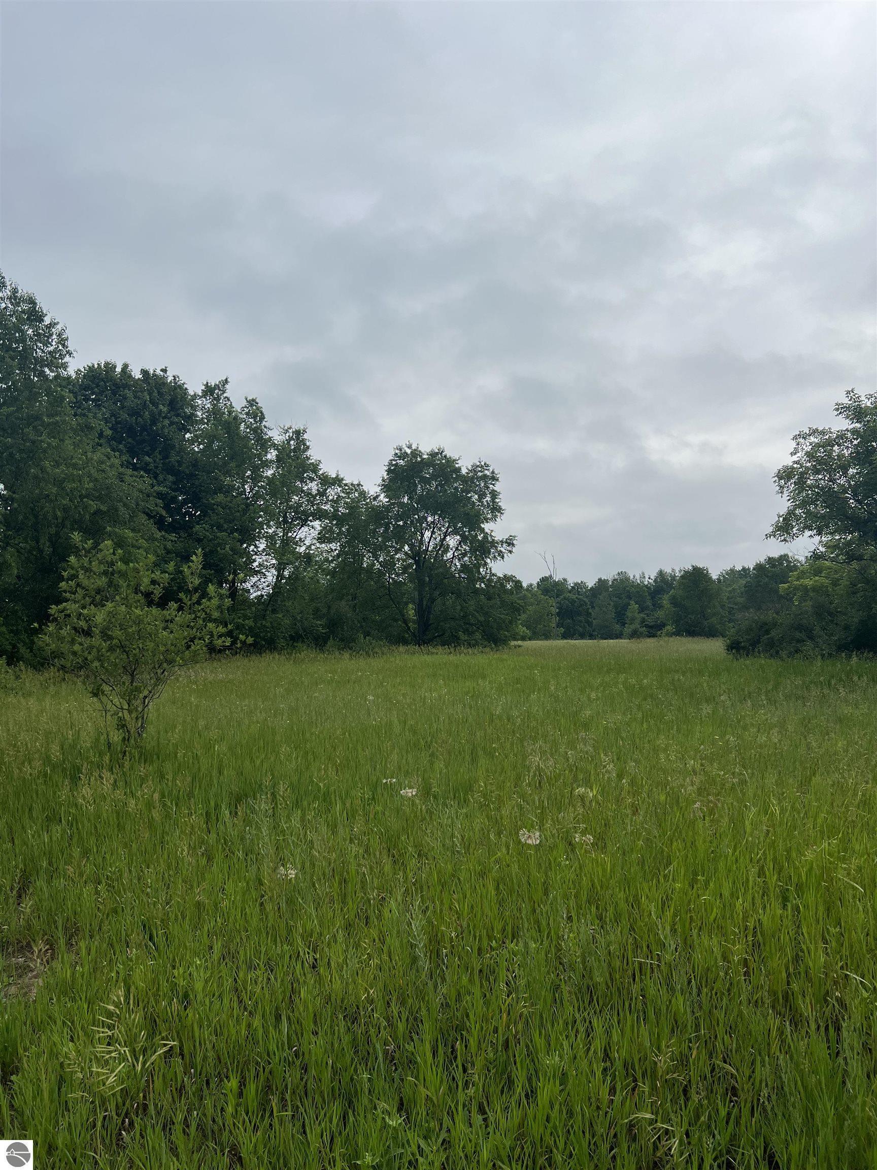 Property Photo:  15040 North Street  MI 49683 