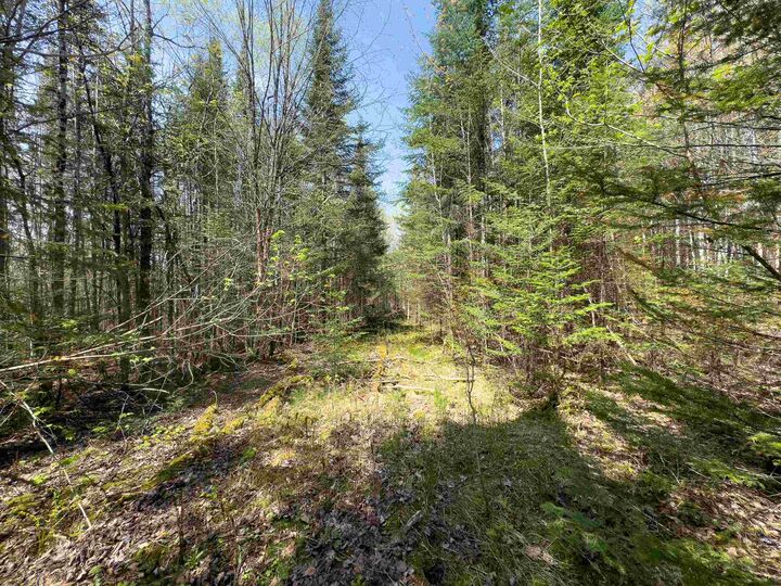 Property Photo:  538 Oregon Road  VT 05824 