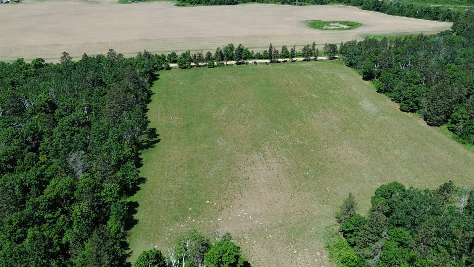 Property Photo:  Xxxx 159th Avenue  MN 56477 