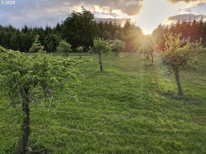 11892 SW Dupee Valley Rd  McMinnville OR 97128 photo