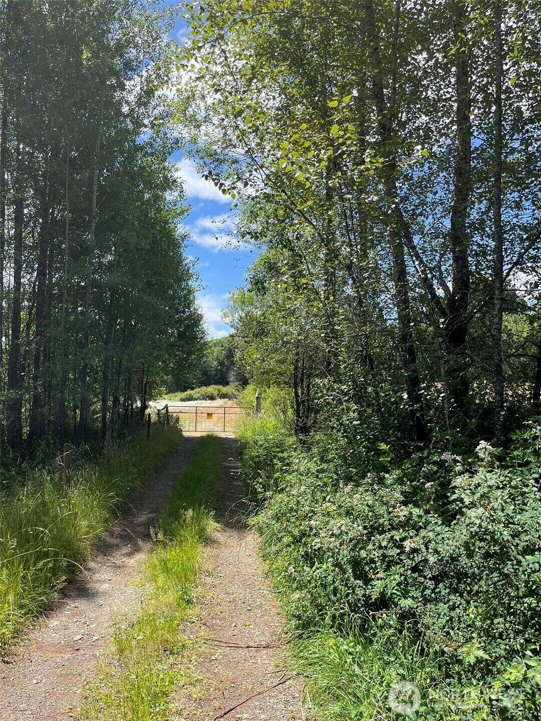 Property Photo:  0  Cougar Smith Road  WA 98563 