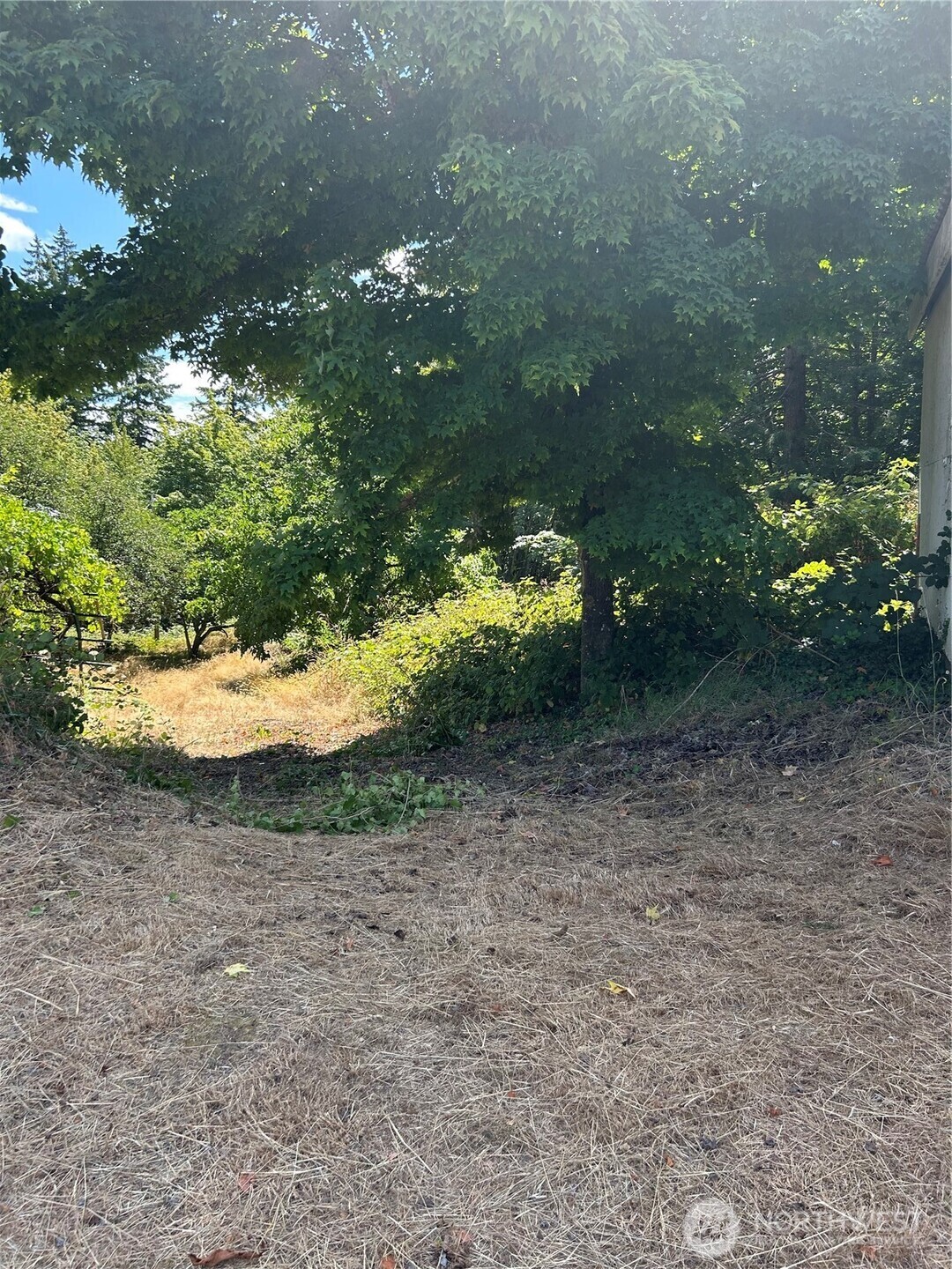 Property Photo: 0 Hazel Street WA 98548