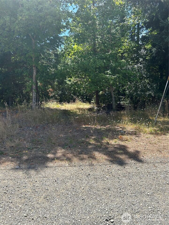 Property Photo:  0  Hazel Street  WA 98584 