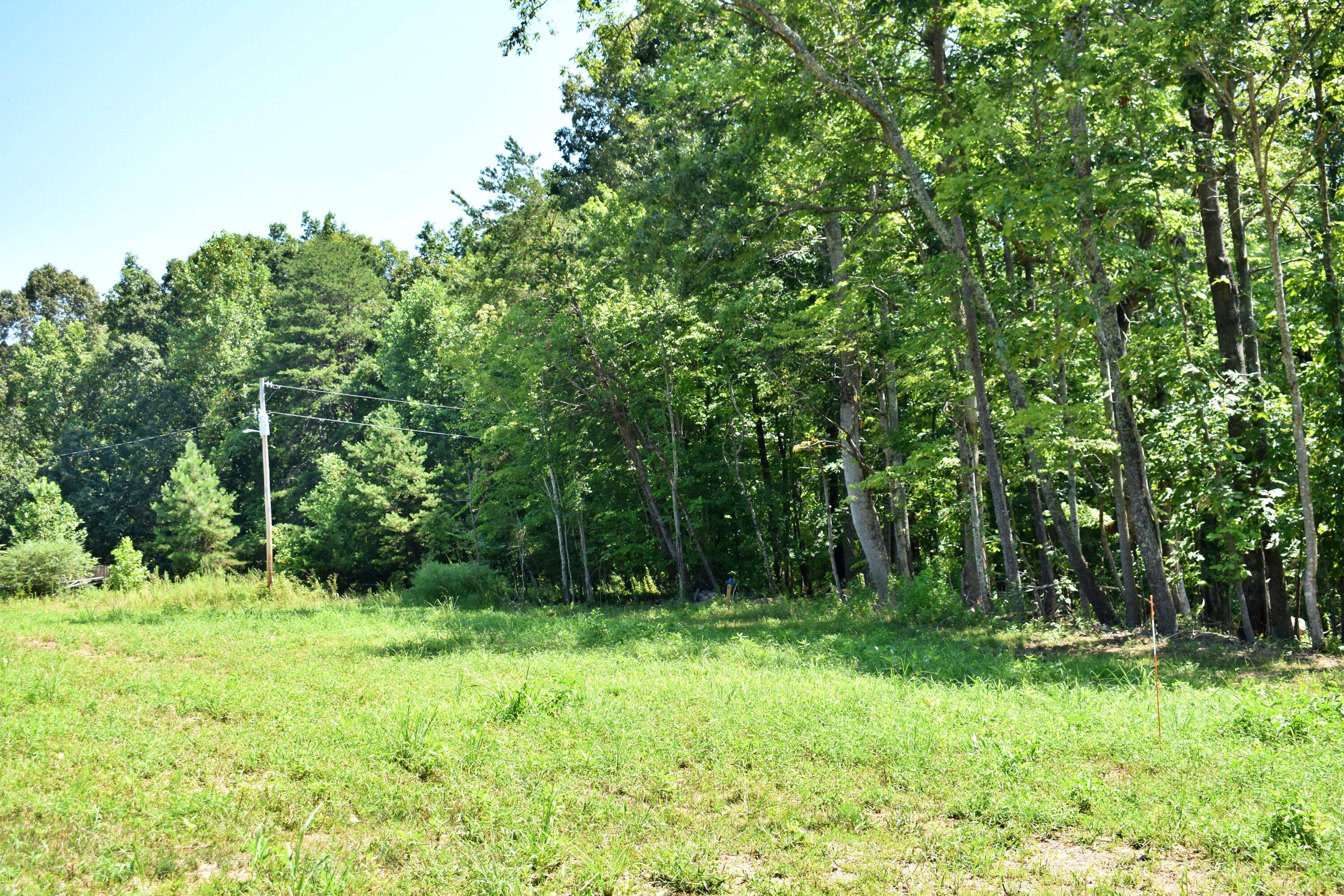 Property Photo: 521 Norton Road TN 37880