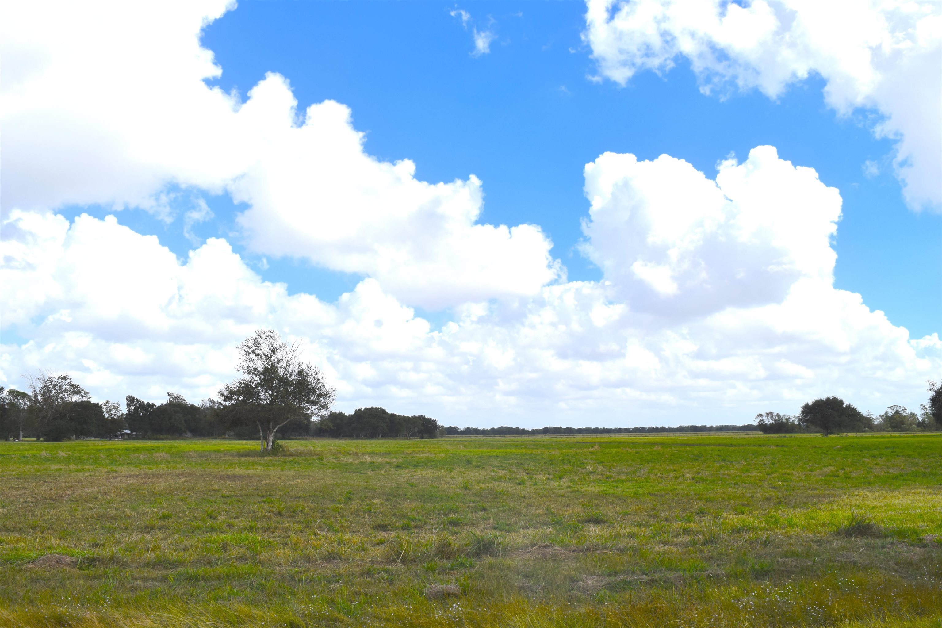Property Photo:  16369 Wise Rd  TX 77622 