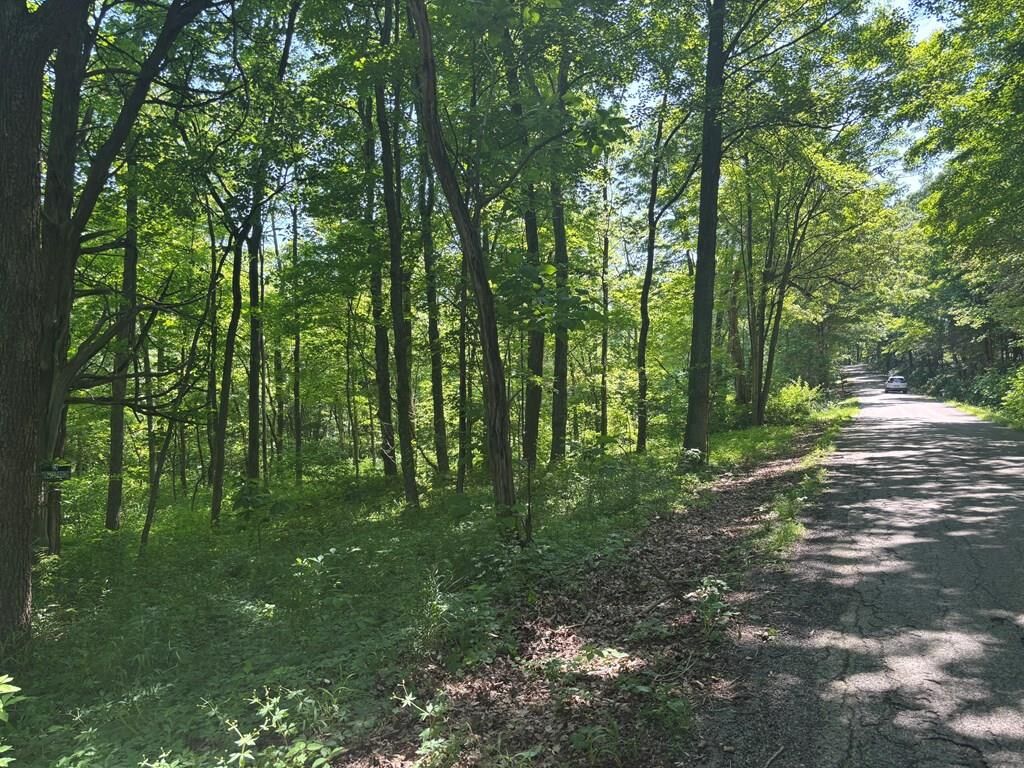 Property Photo:  0 Nace Corner Rd  OH 45646 