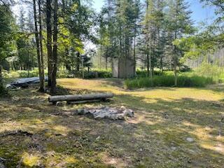 Property Photo: V/L Blue Springs Trail MI 49632