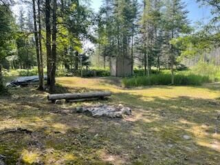 Property Photo: V/L Blue Springs Trail MI 49632