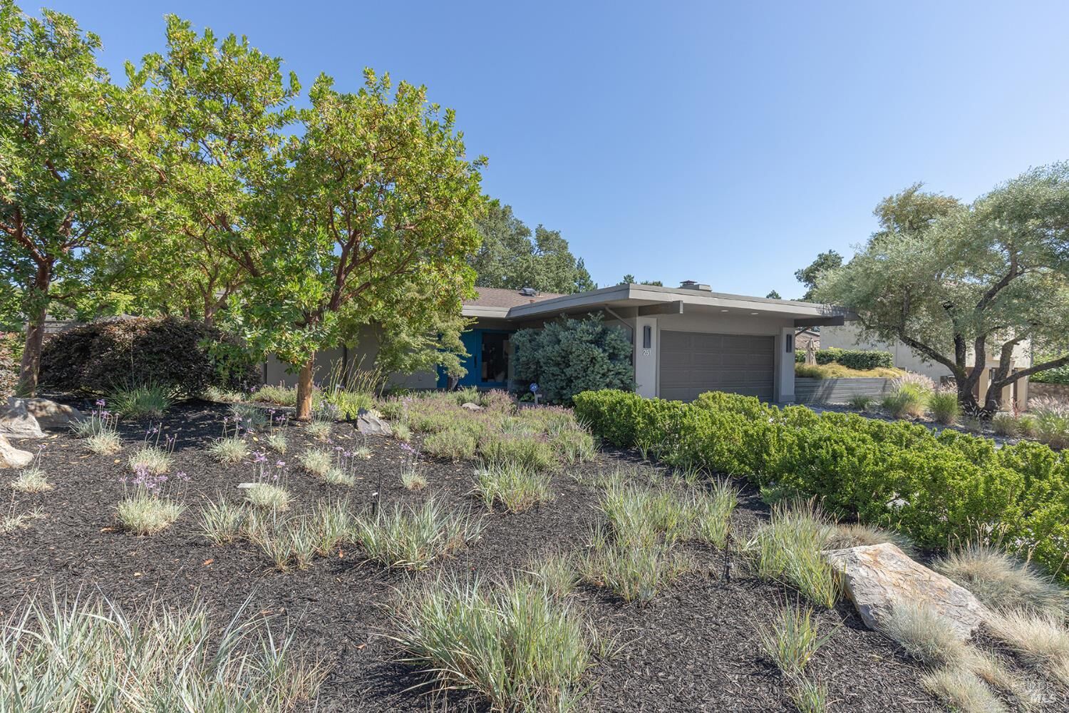Property Photo:  251 Saint Andrews Drive  CA 94558 