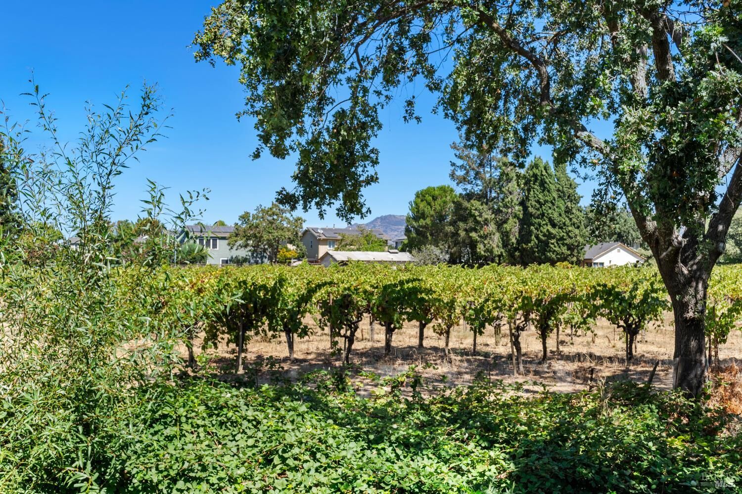 Property Photo:  1640 Bryce Court  CA 94558 