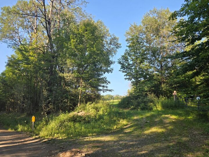 Property Photo:  137 Lewis Hill Road  NY 13841 