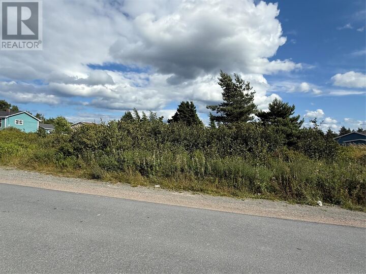 16 Neck Road  Bay Roberts NL A0A 1G0 photo